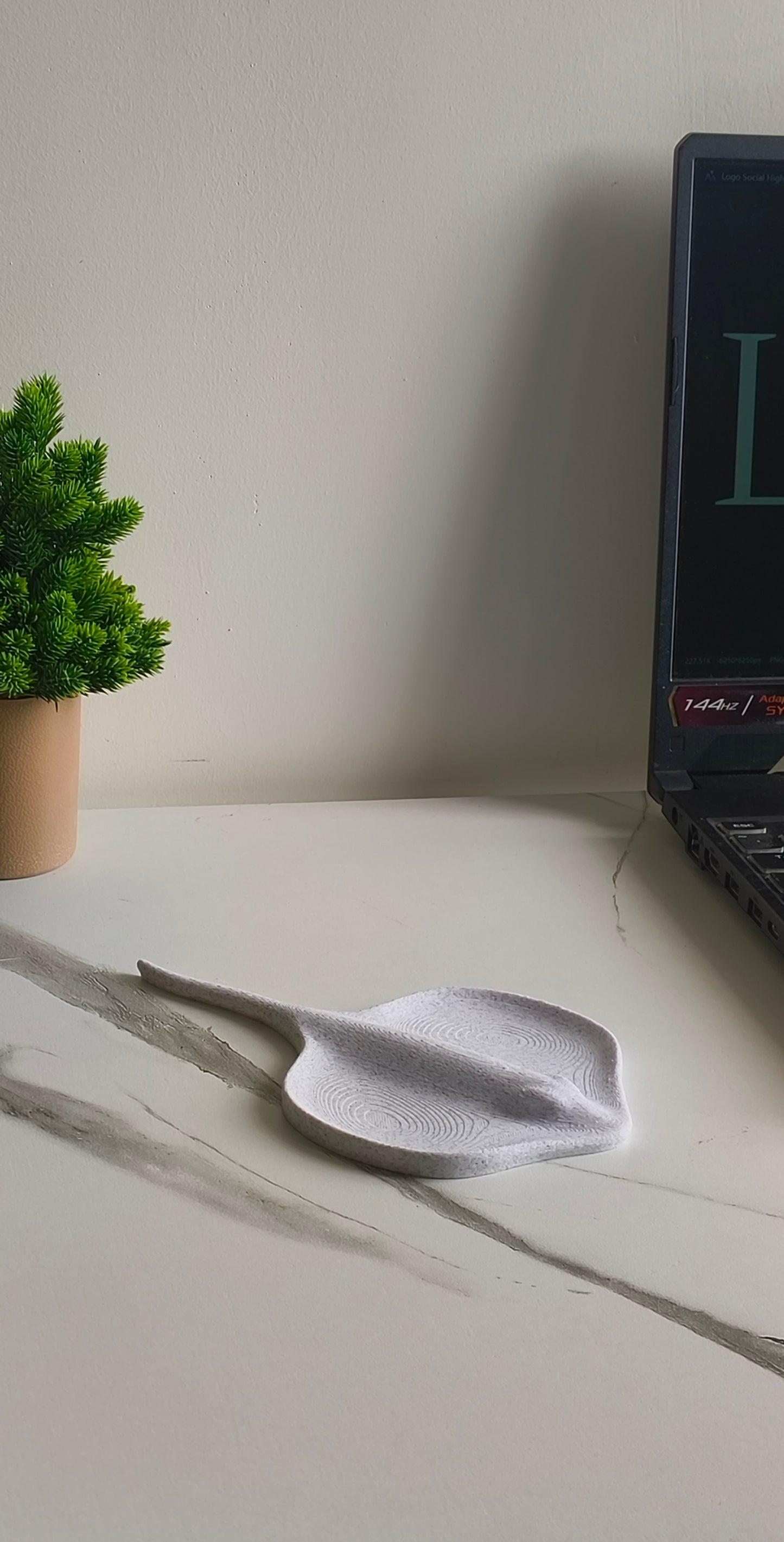 Ocean Ray Tray