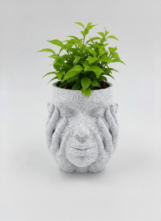 Serene Face Planter - Plant-Based Marble Finish Decor by LayerN