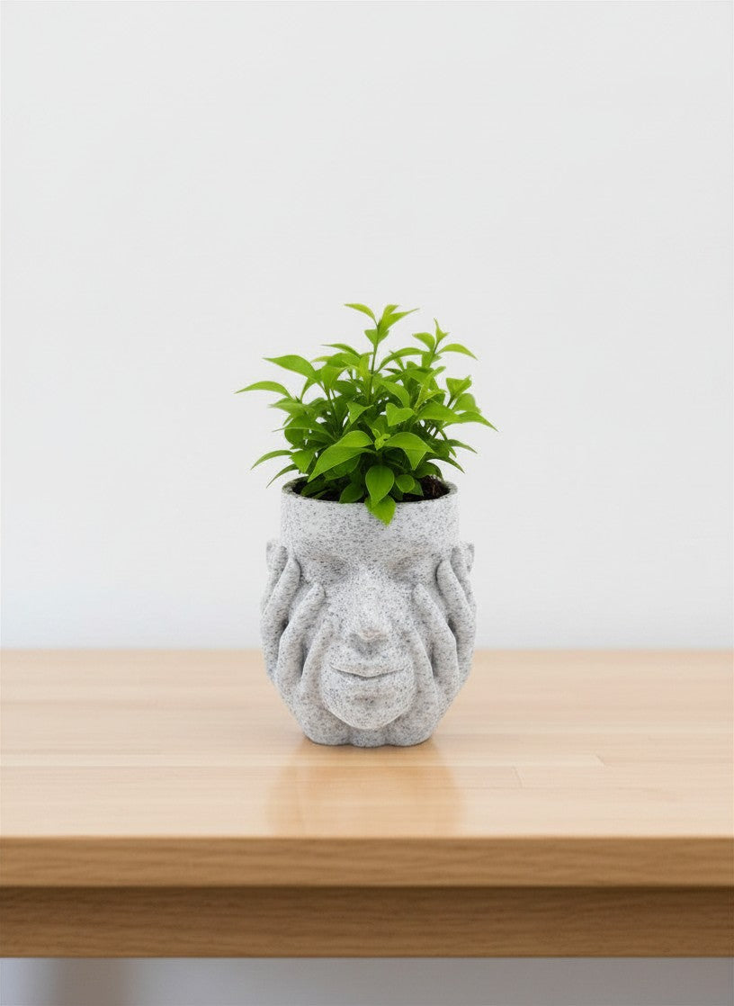 Serene Face Planter - Plant-Based Marble Finish Decor by LayerN