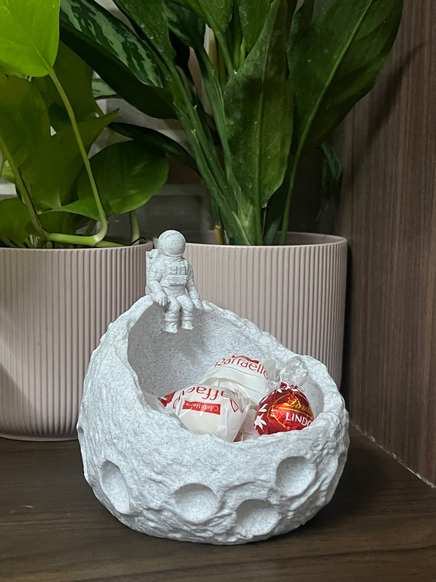 Astronaut Desk Organiser