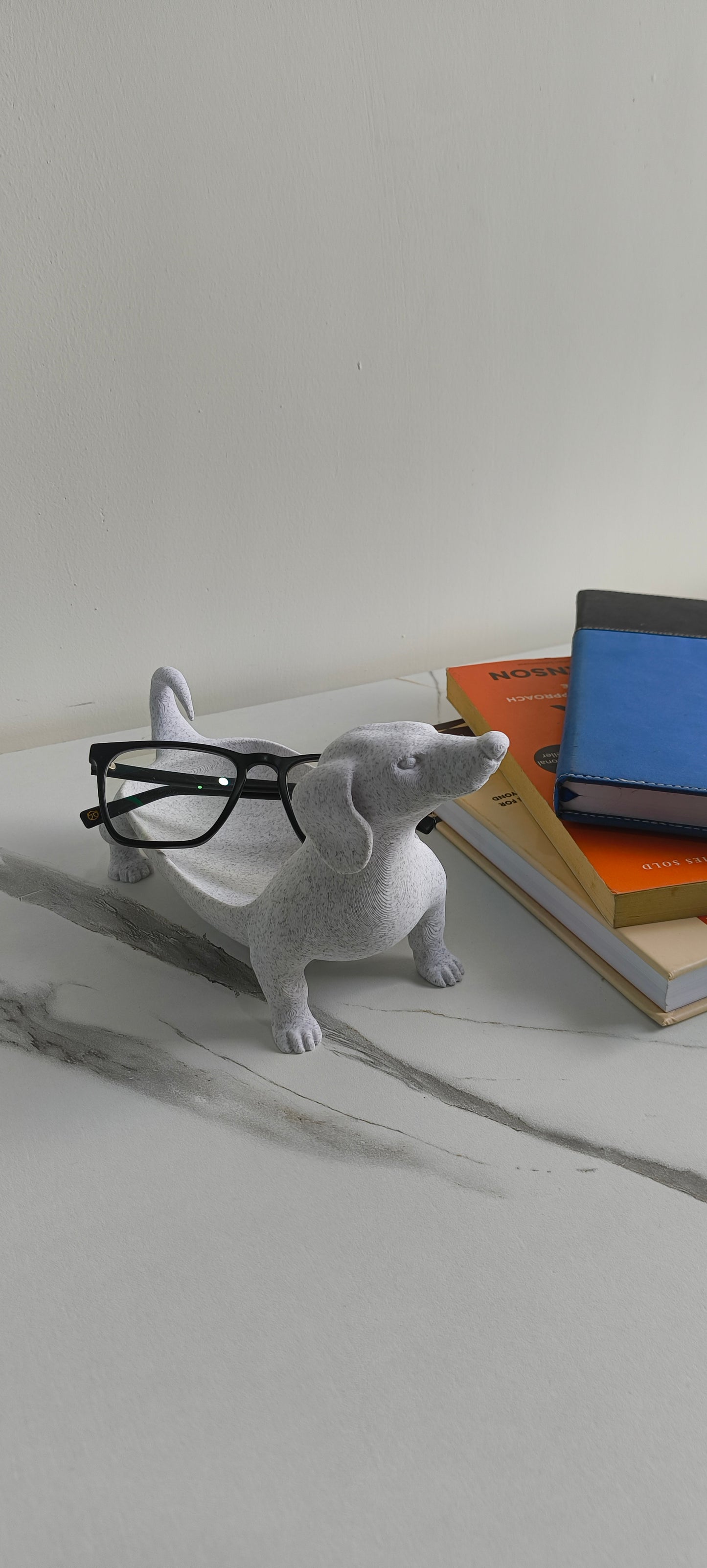 Dog Remote Holder