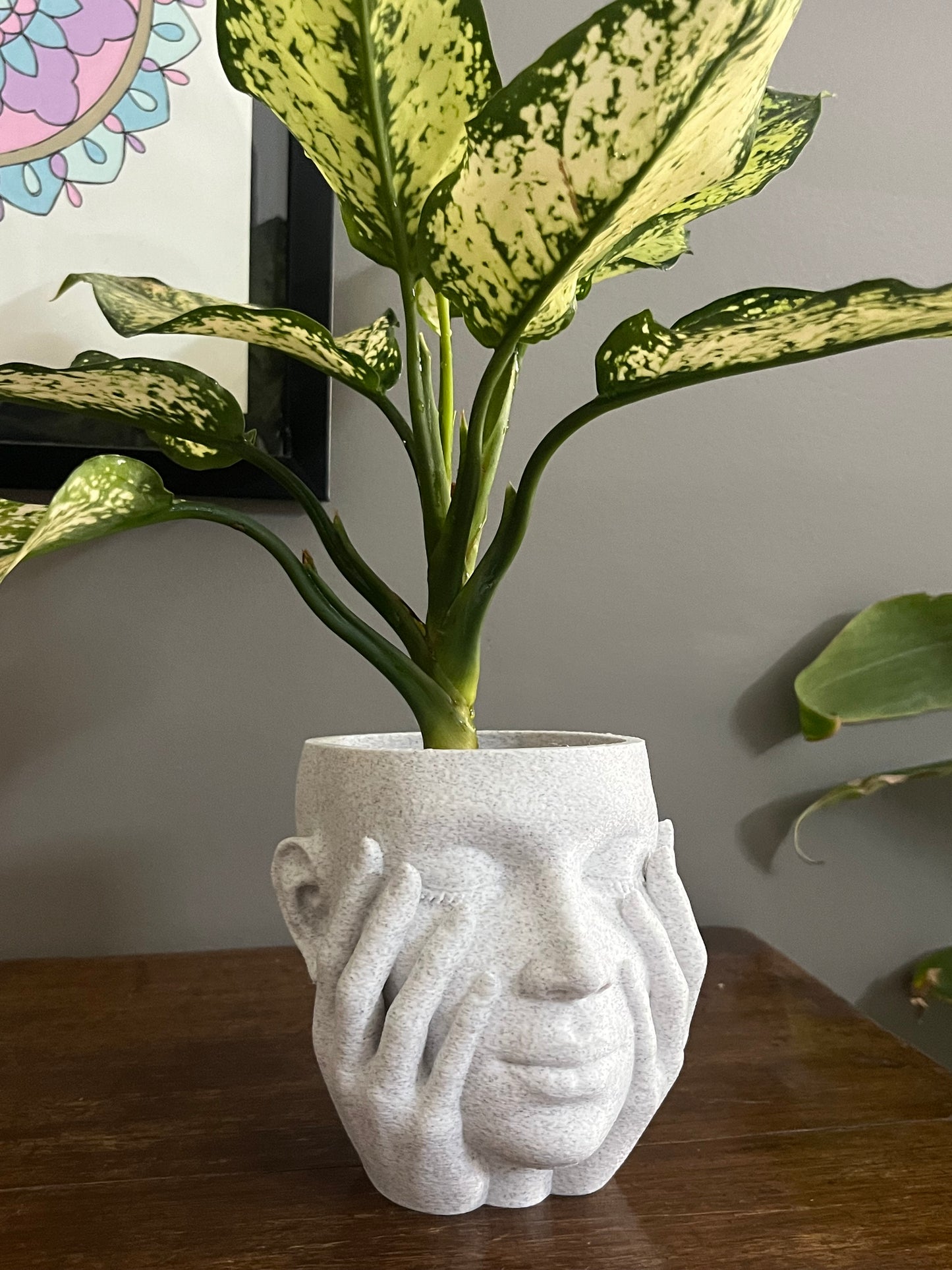 Abstract Face Planter