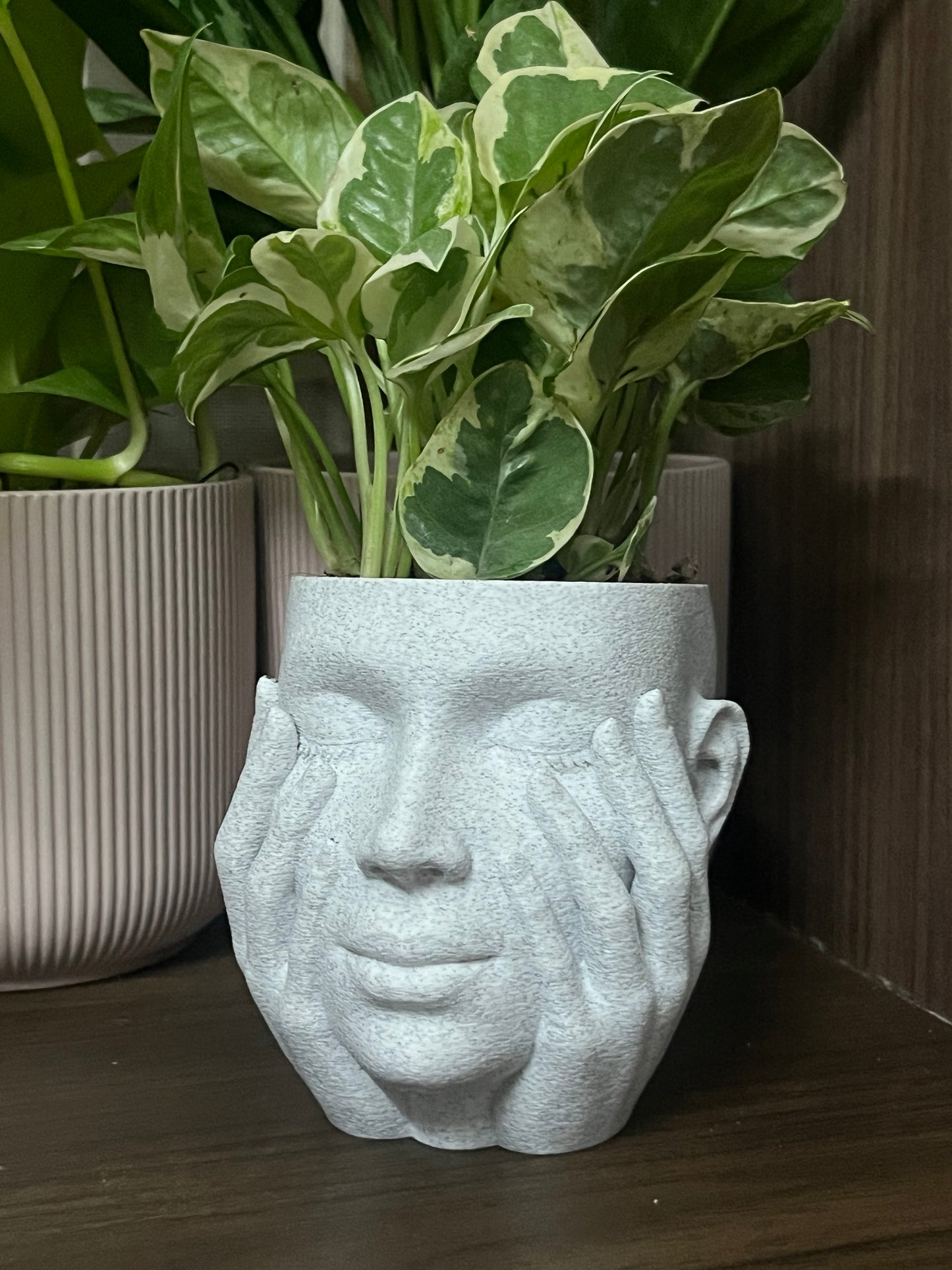 Abstract Face Planter