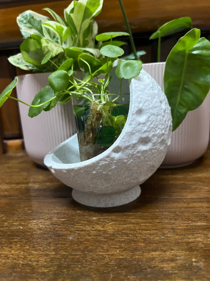 Lunar Storage Bowl