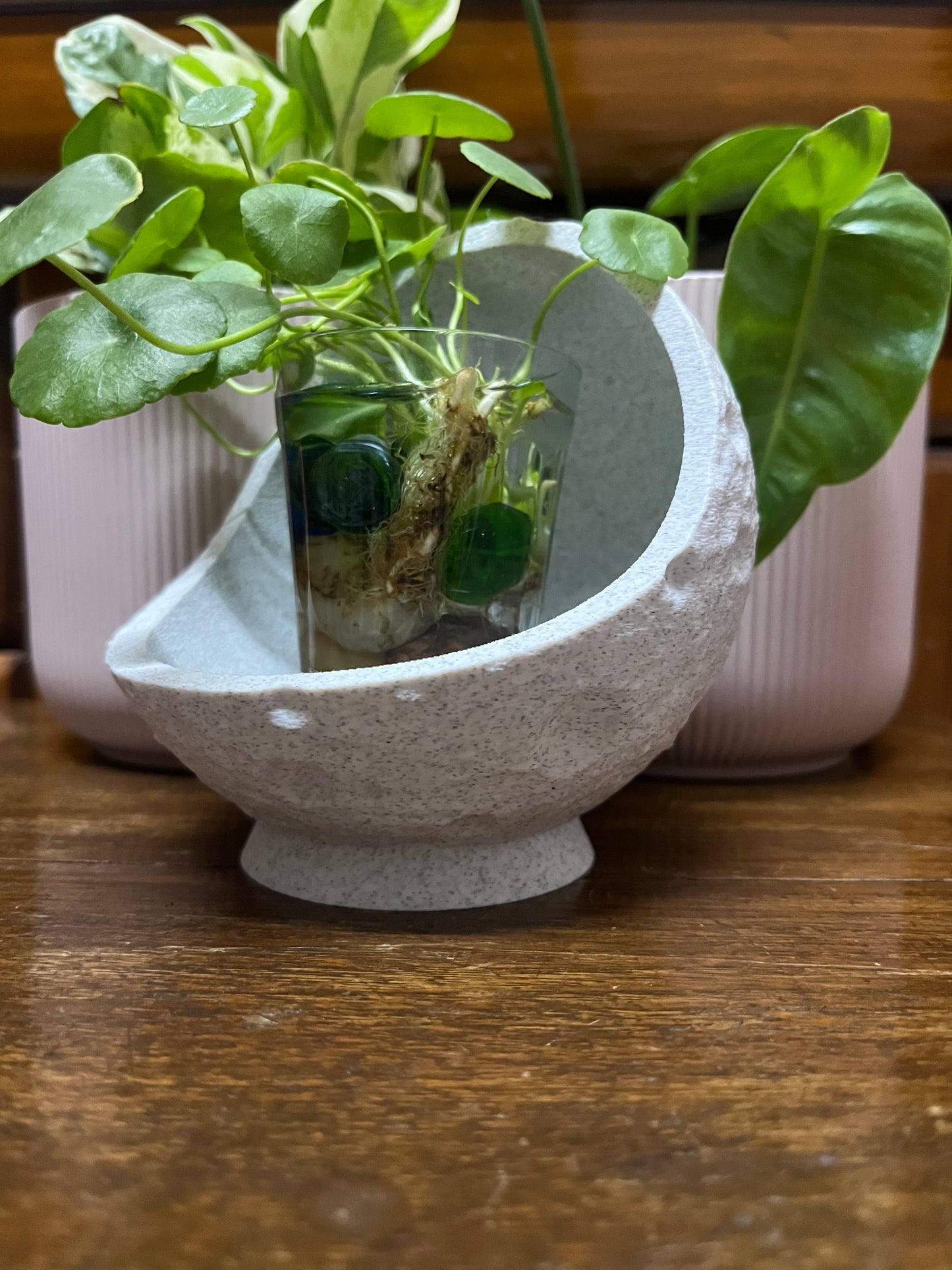 Lunar Storage Bowl