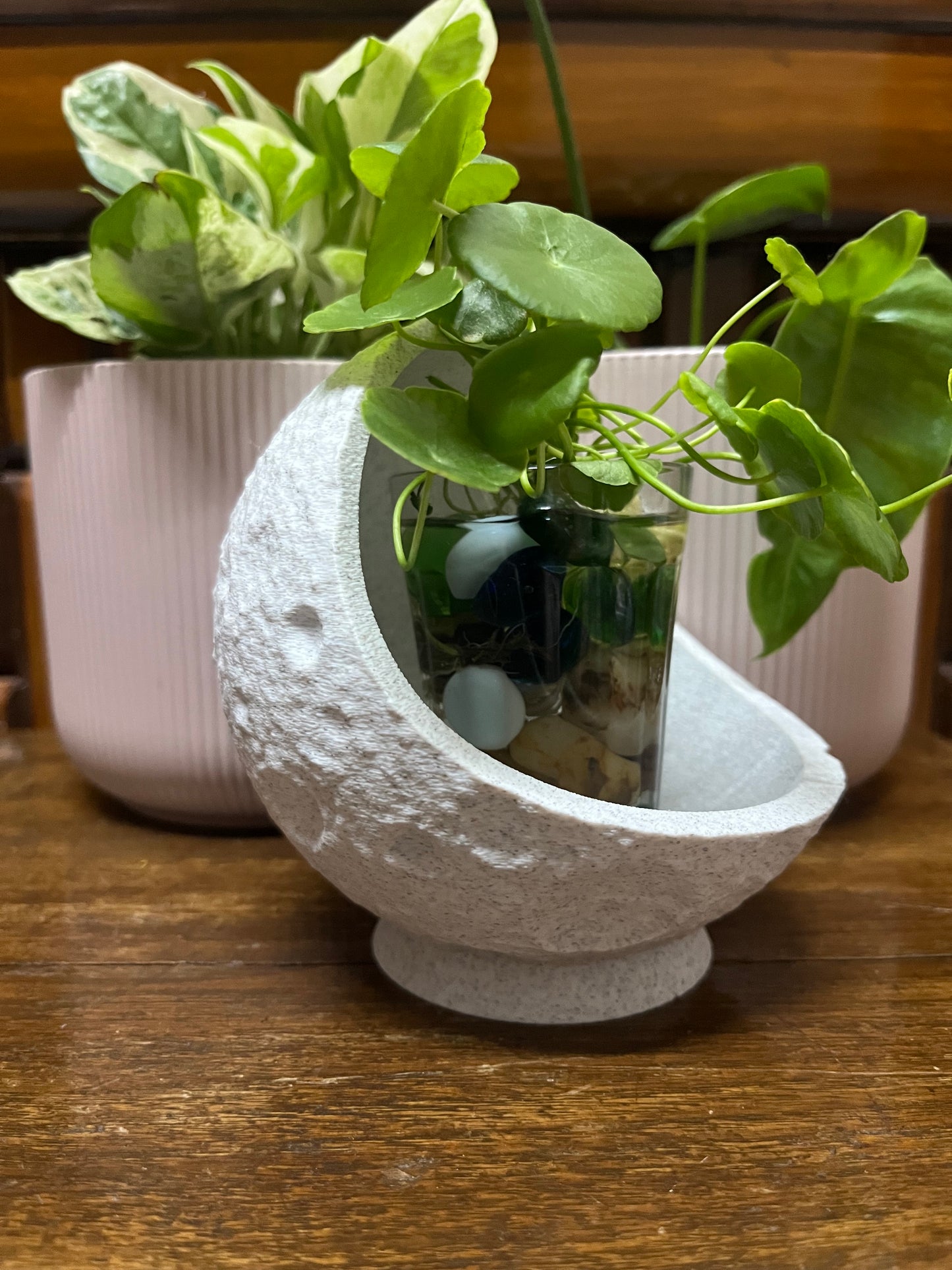 Lunar Storage Bowl