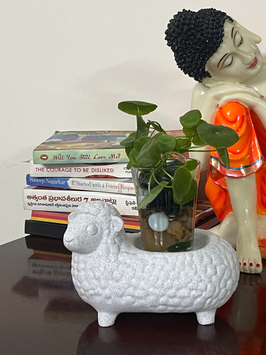 Sheep Decor Tray