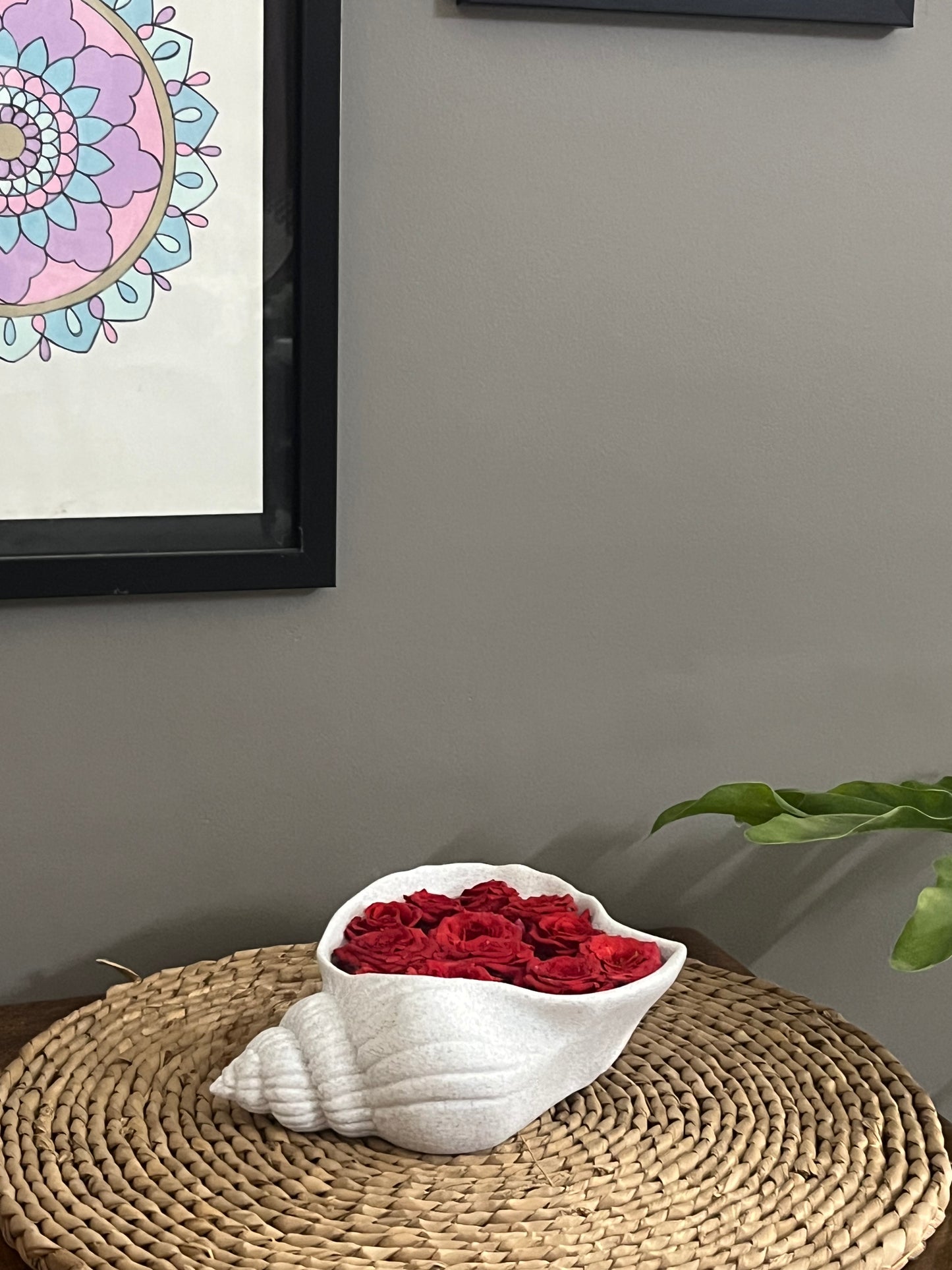 Coastal Shell Tray