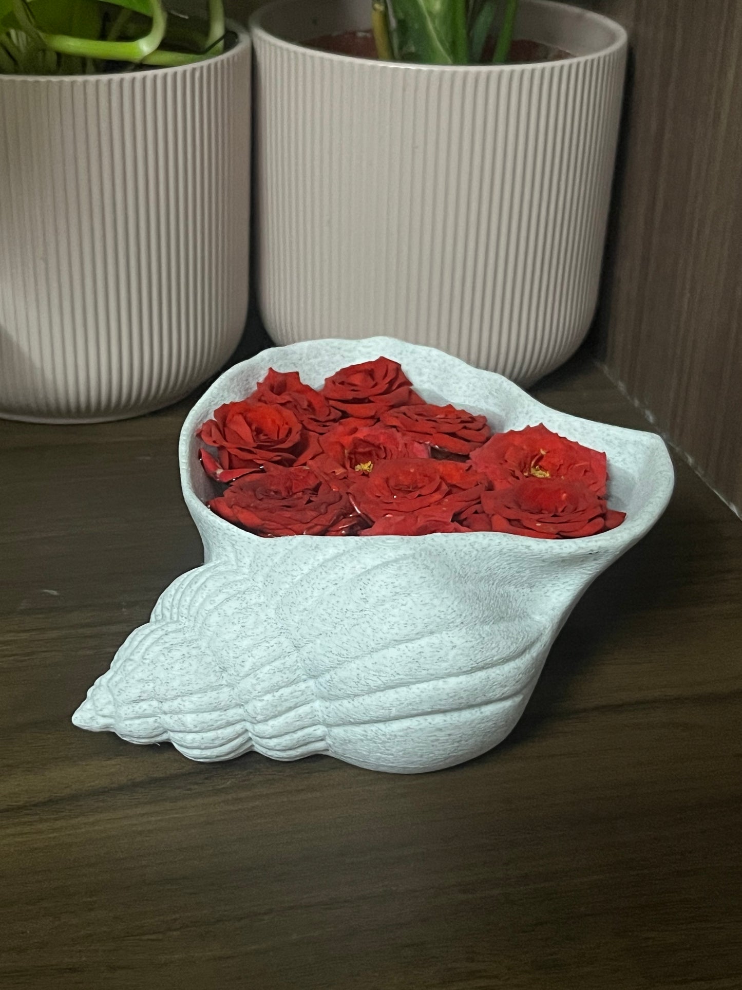 Coastal Shell Tray